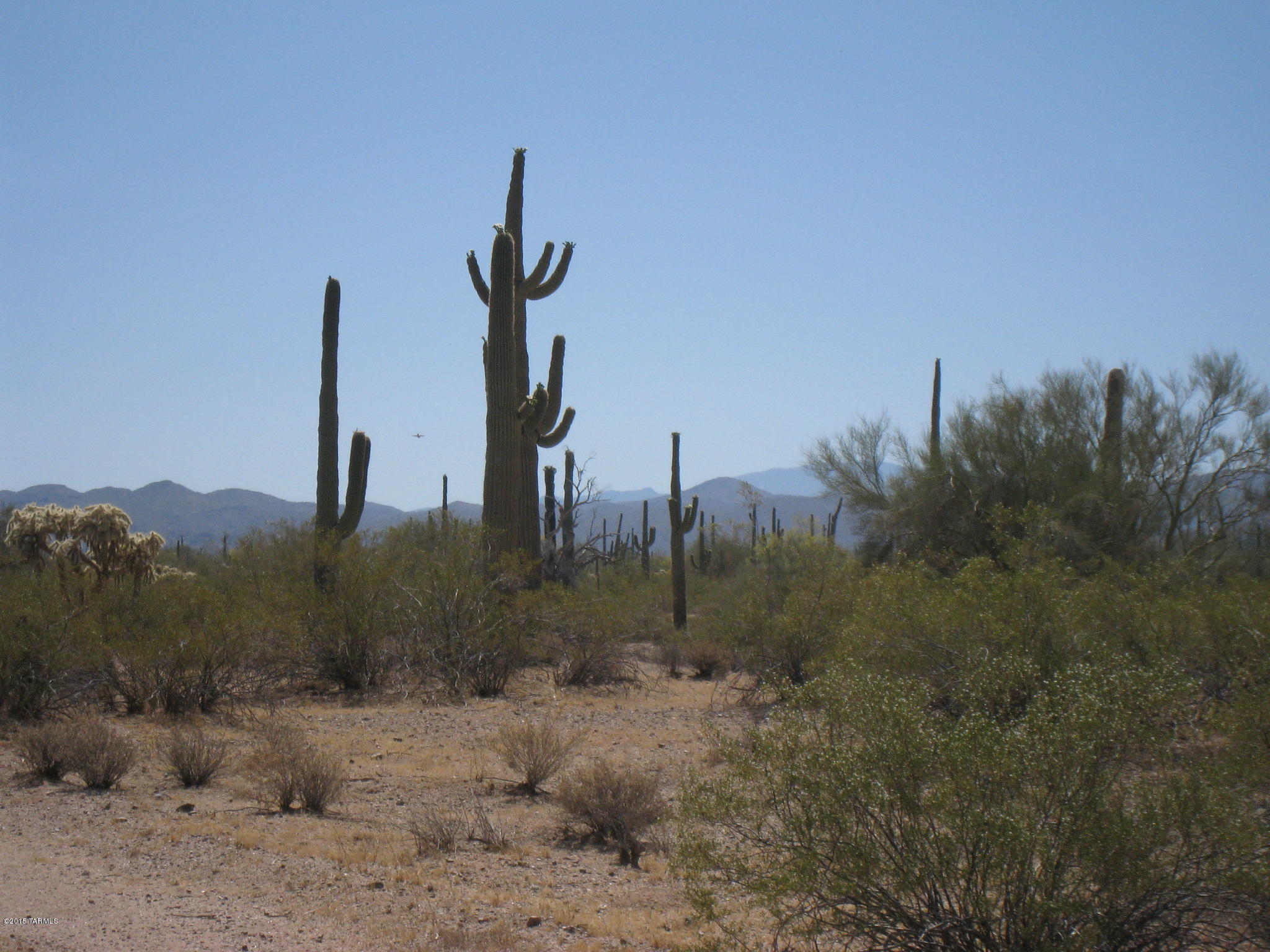 0 South Cattle Tank Road Marana, AZ 85658 - Photo 3 of 4