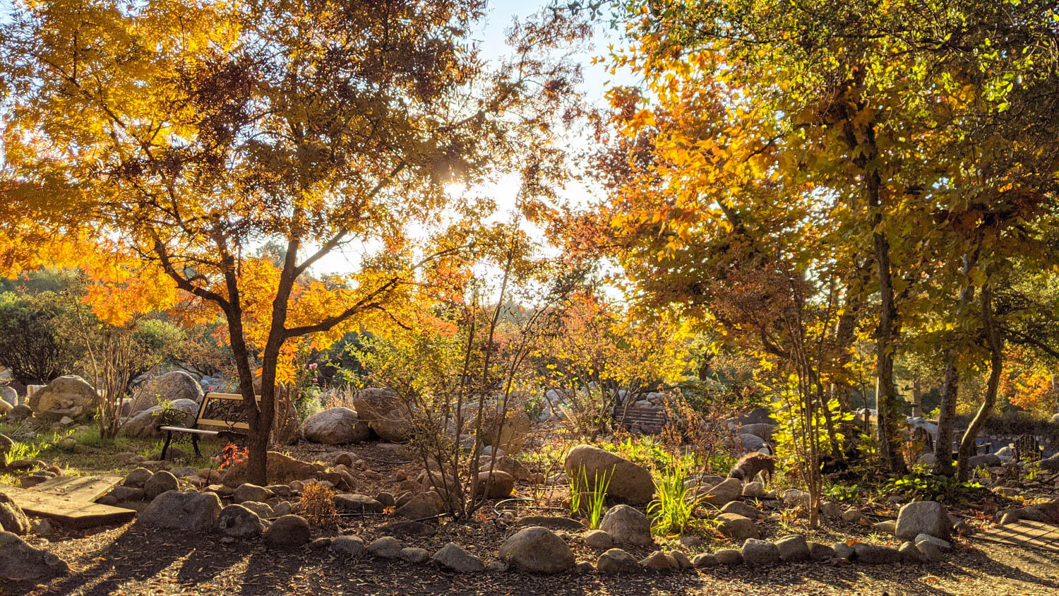 45314 Blue Ridge Drive Springville, CA 93265 - Photo 16 of 111 Lots of beautiful fall color throughout the property when fall sets in