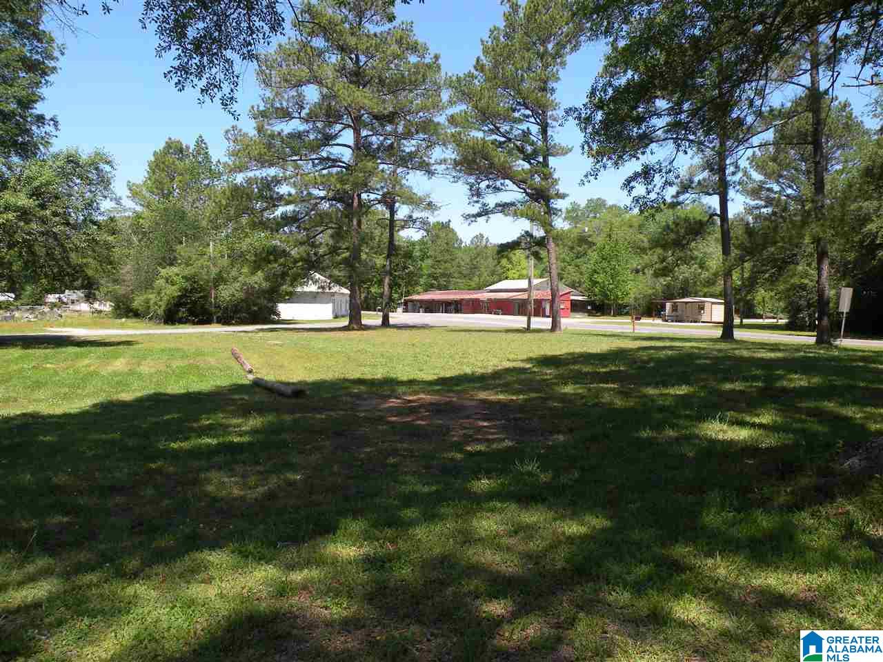 29 Gantts Junction Road, Unit 1 Sylacauga, AL 35150 - Photo 1 of 3