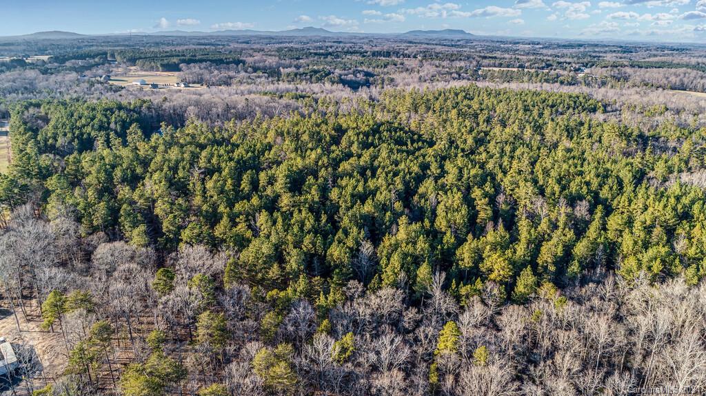 Lot 1 Bate Harvey Road Clover, SC 29710 - Photo 6 of 11 Gallery Image 6