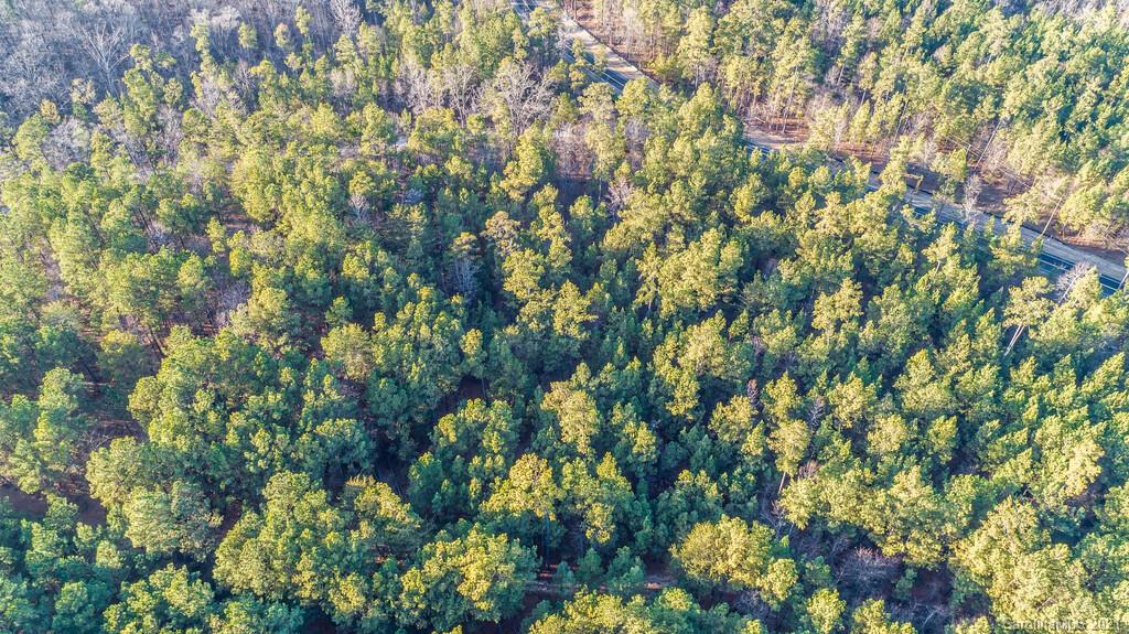 Lot 1 Bate Harvey Road Clover, SC 29710 - Photo 7 of 11 Gallery Image 7