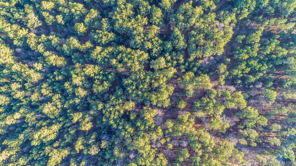 Lot 1 Bate Harvey Road Clover, SC 29710 - Photo 9 of 11 Gallery Image 9
