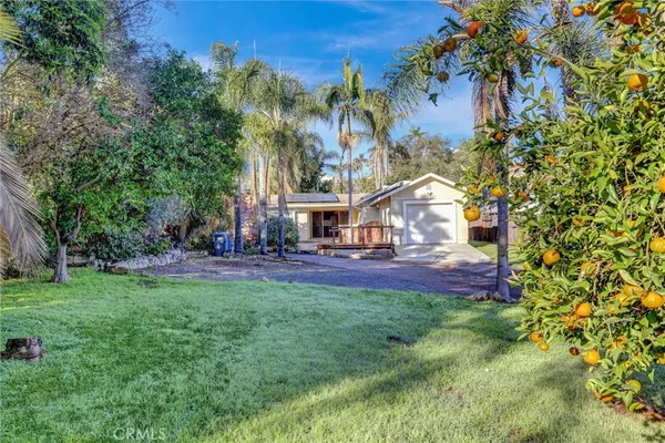 a view of a park with palm trees