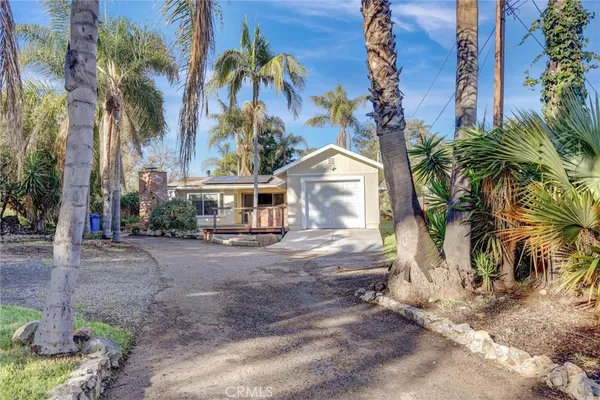 a view of a palm trees next to a house