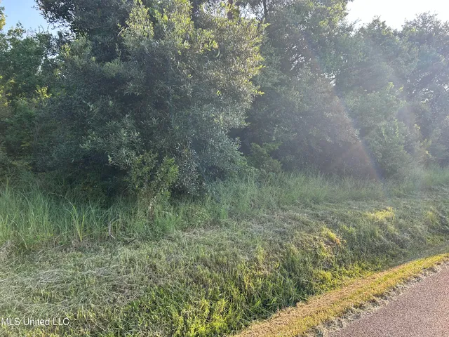 $17,900 | 0 Jordan River Drive, Bay St. Louis, MS 39520