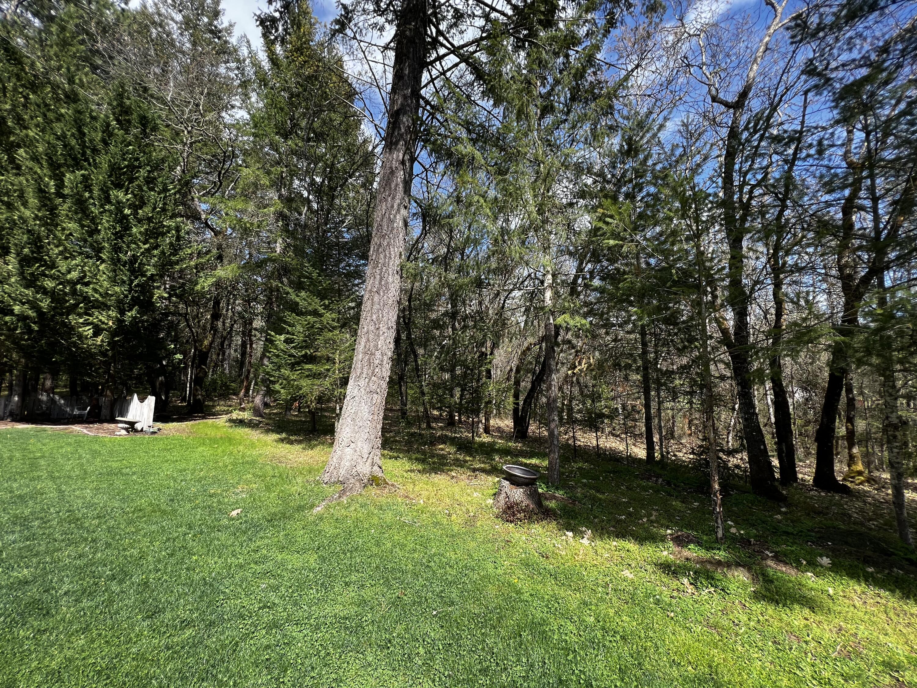 185 Stewart Road Grants Pass, OR 97526 - Photo 20 of 46 IMG_3276