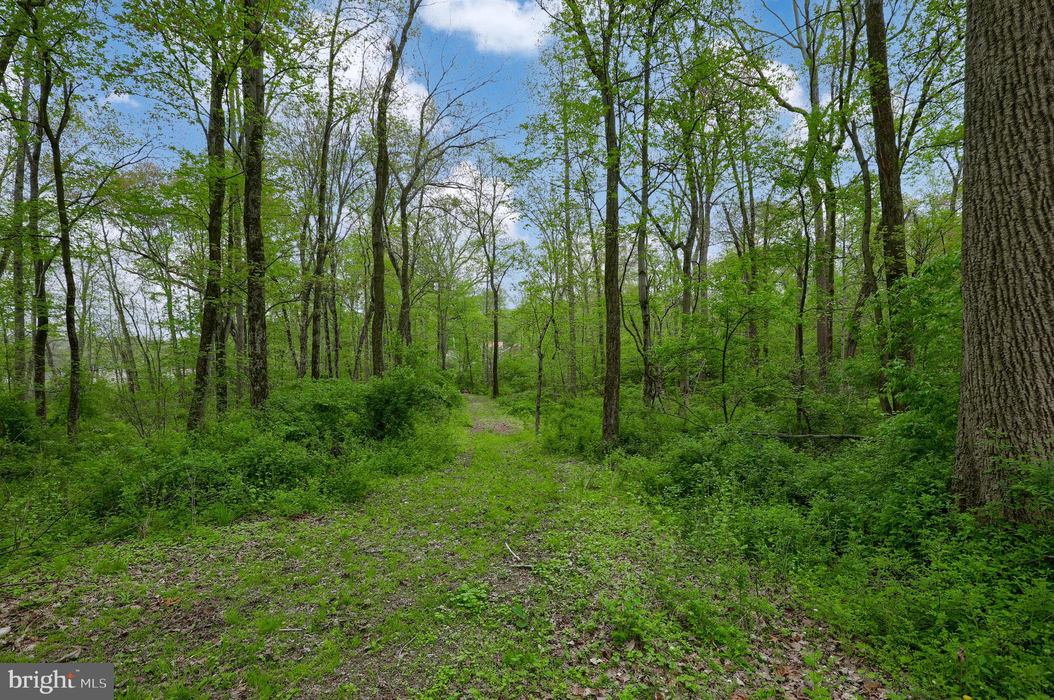 649 Reinholds Road Denver, PA 17517 - Photo 44 of 51