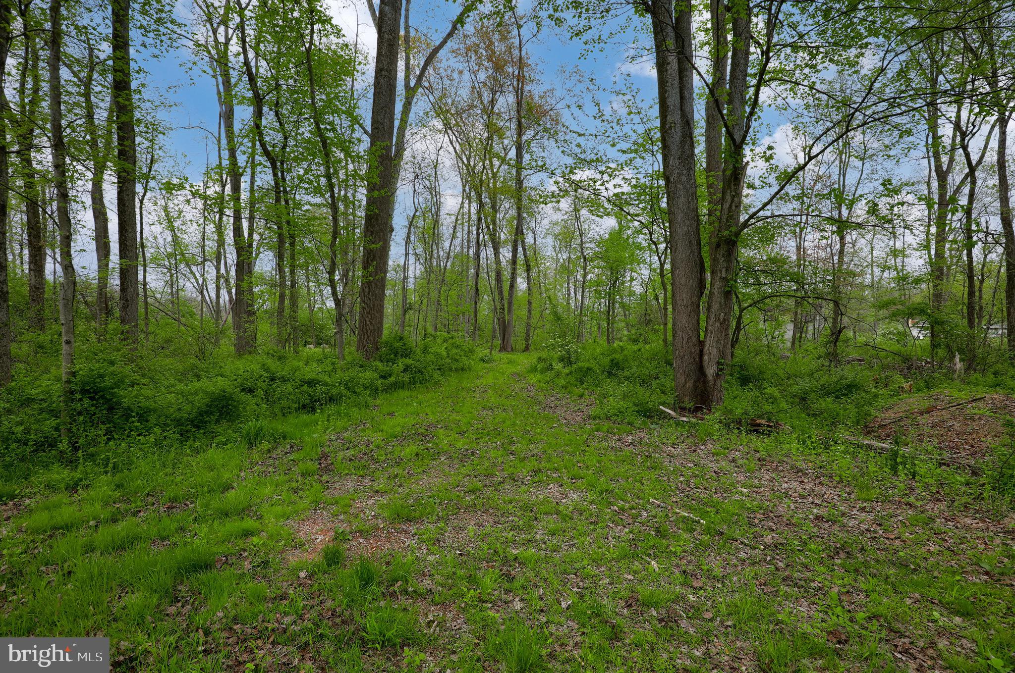 649 Reinholds Road Denver, PA 17517 - Photo 47 of 51