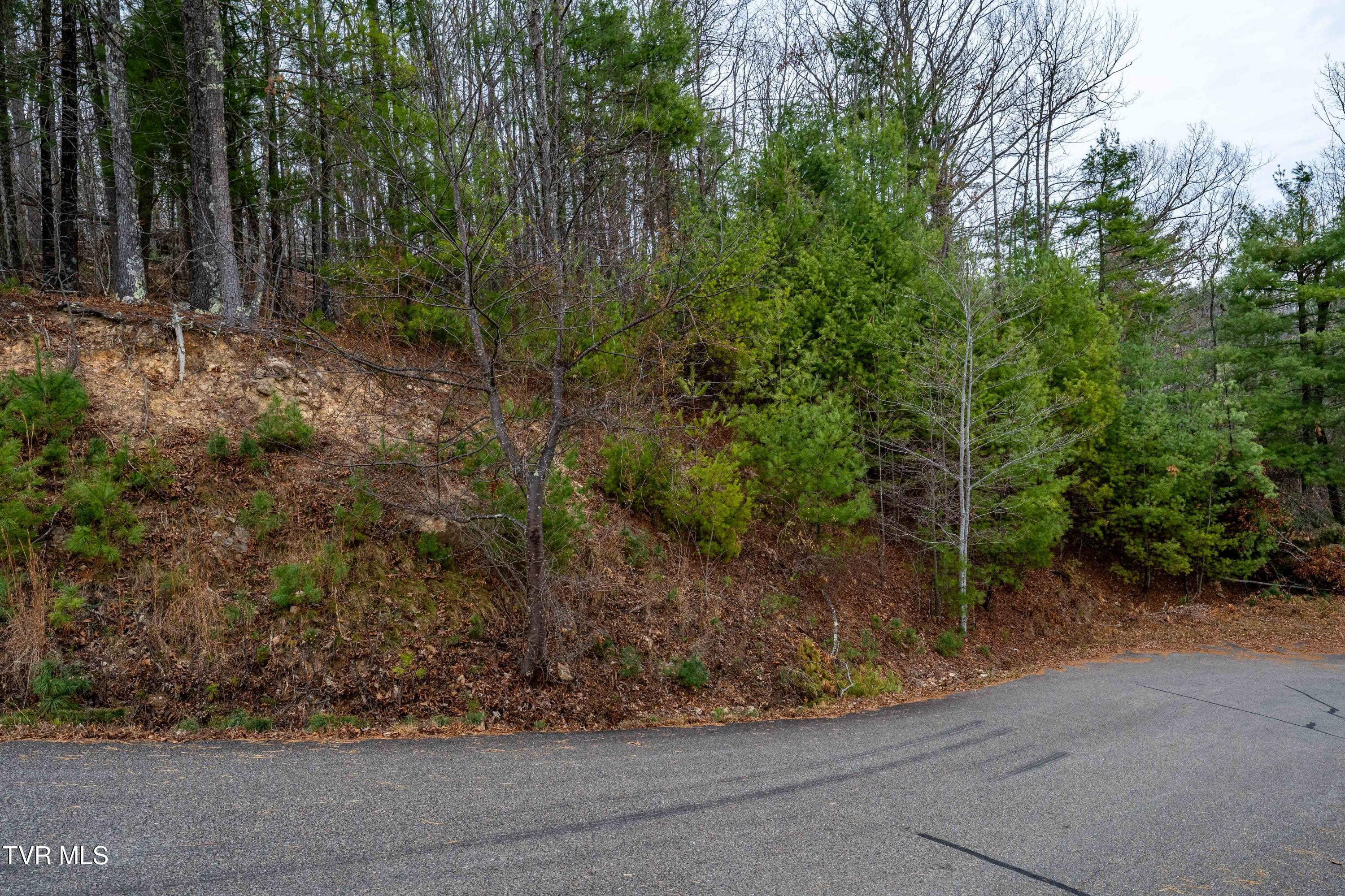 0 Forge Creek Road, Unit 25 Mountain City, TN 37683 - Photo 20 of 24 TBD Iroquois Rd (21 of 25)