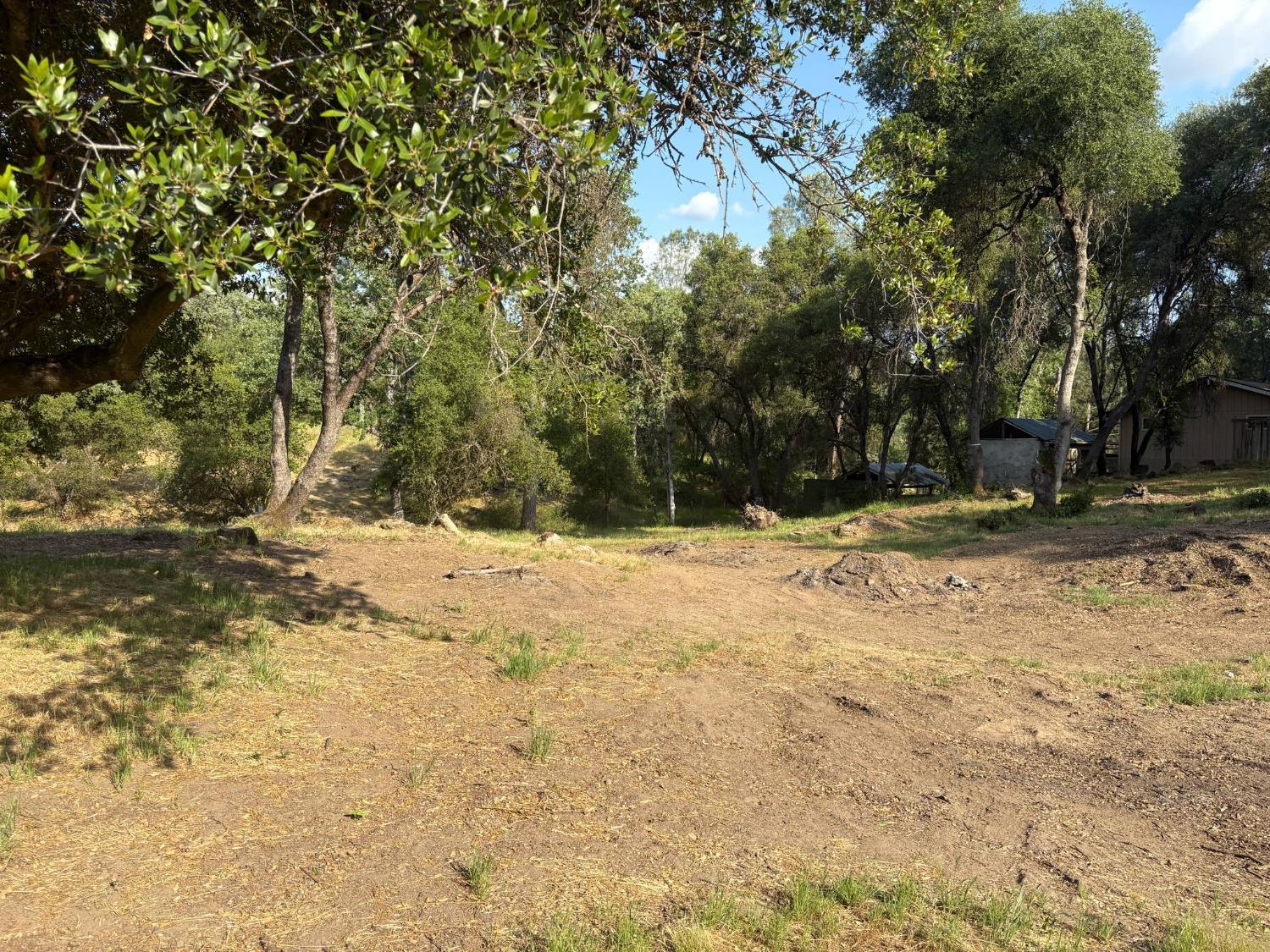 507 Chickasaw Road Coarsegold, CA 93614 - Photo 1 of 9