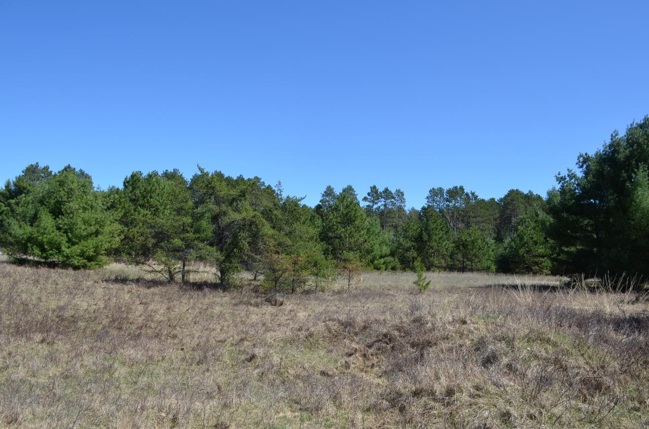 Lot 5 Point O Pines Road Tomahawk, WI 54487 - Photo 12 of 25 Gallery Image 12
