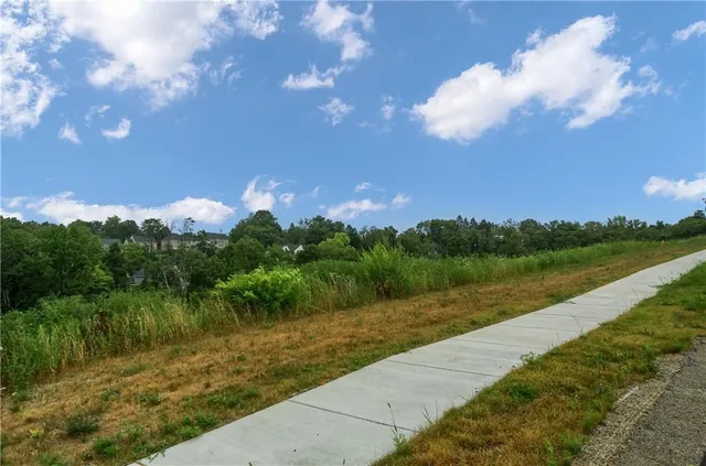 a view of a pathway both side of grassy field with shrub