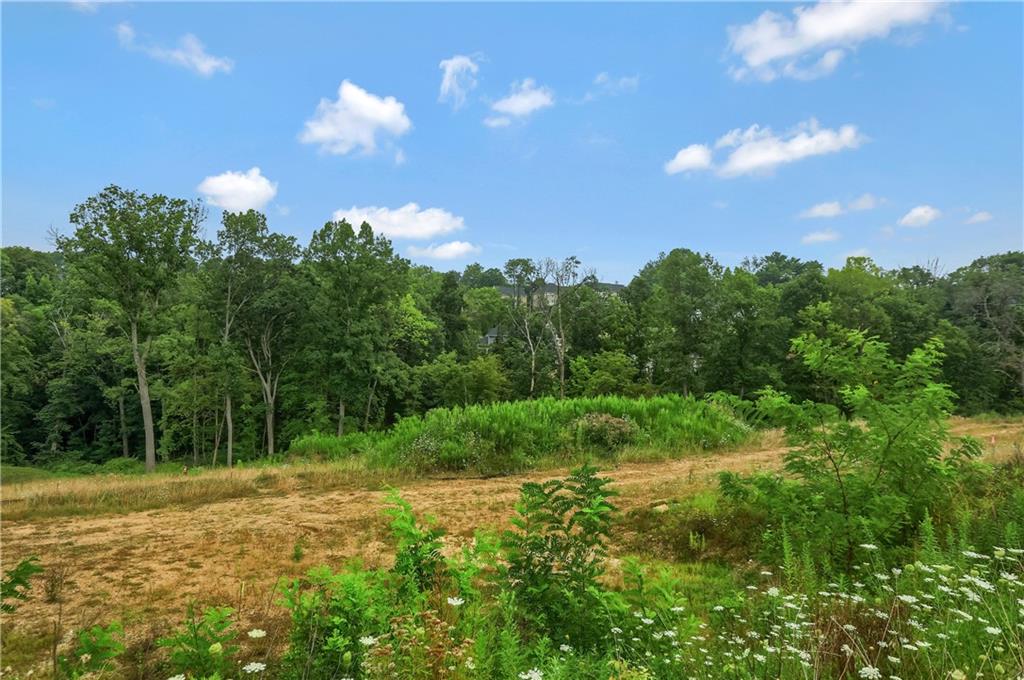 Lot 5 Beaver Grade Road McKees Rocks, PA 15136 - Photo 3 of 13 a view of a big yard with potted plants and large tree