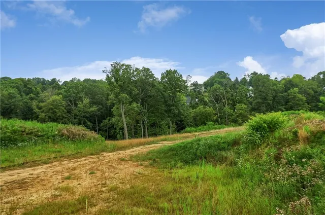 a view of a lake with a yard