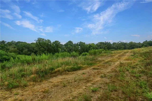 a view of a grassy field with trees in the background
