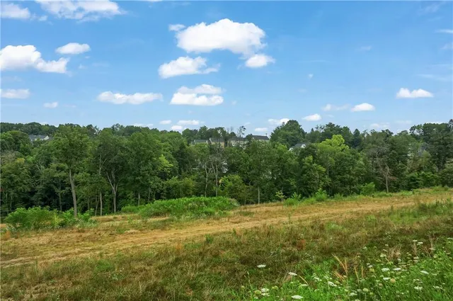 a view of a field with a tree in the background