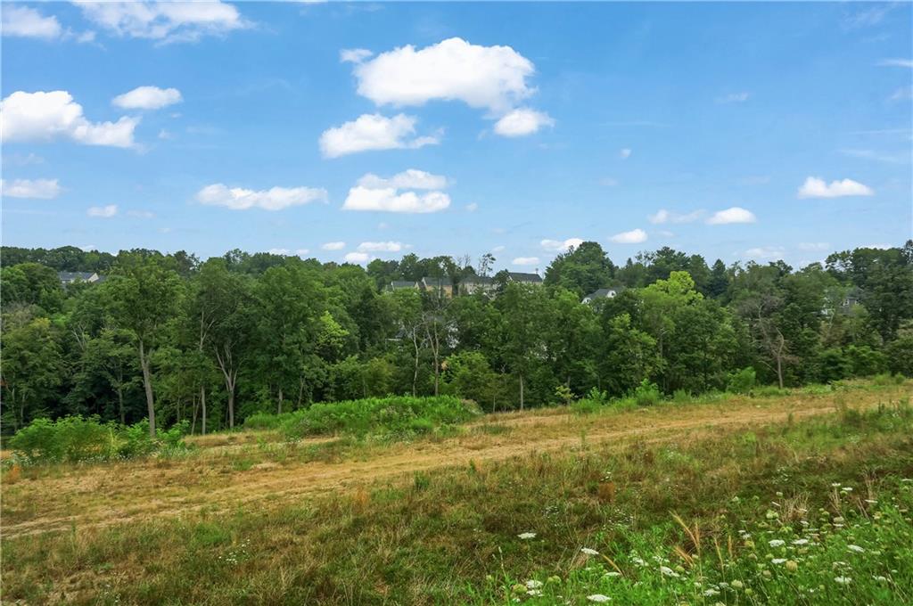 Lot 5 Beaver Grade Road McKees Rocks, PA 15136 - Photo 6 of 13 a view of a grassy field with trees in the background