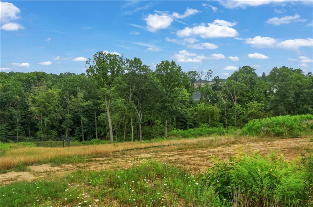 Lot 5 Beaver Grade Road McKees Rocks, PA 15136 - Photo 7 of 13 a view of a field with a tree in the background