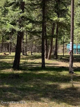 $325,000 | 405 Shady Lane, Wallace, ID 83873
