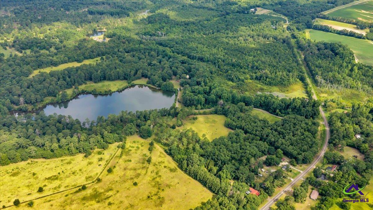 1060 Cooks Mill Road Oglethorpe, GA 31068 - Photo 86 of 100 Gallery Image 86