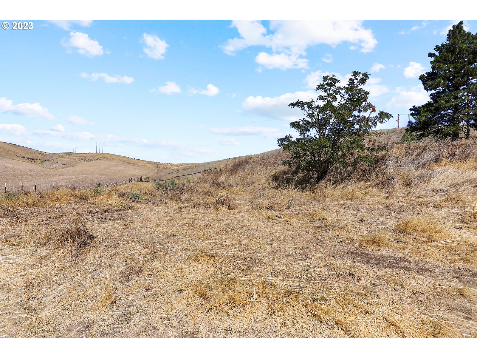 695 Main Street Dufur, OR 97021 - Photo 35 of 42 a view of a dry yard with mountains in the background