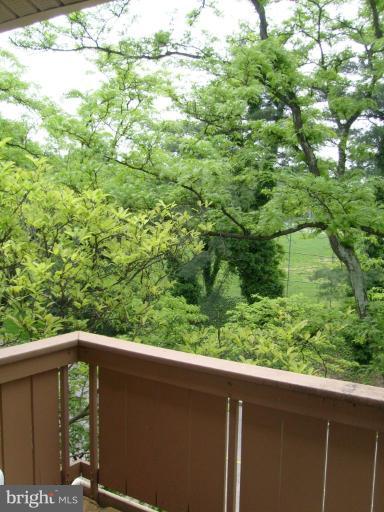 3 Hamill Road, Unit 3E Baltimore, MD 21210 - Photo 5 of 13 Porch