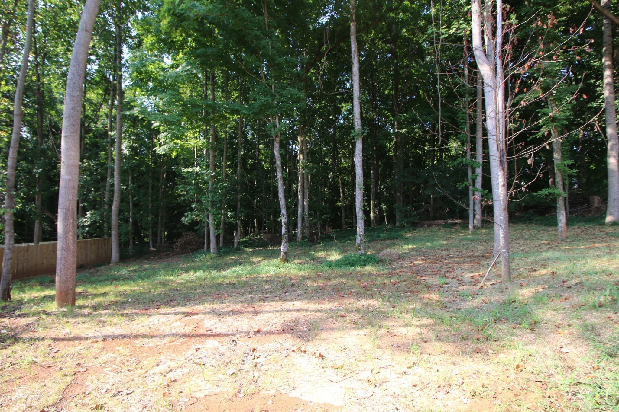 288 Timber Springs Clarksville, TN 37042 - Photo 24 of 25 a backyard of a house