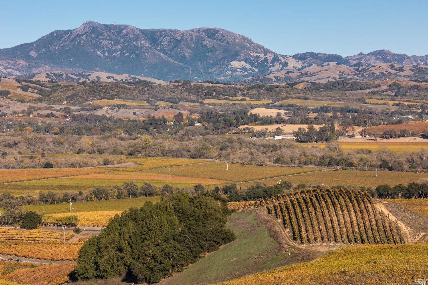 5285 Westside Road Healdsburg, CA 95448 - Photo 28 of 58