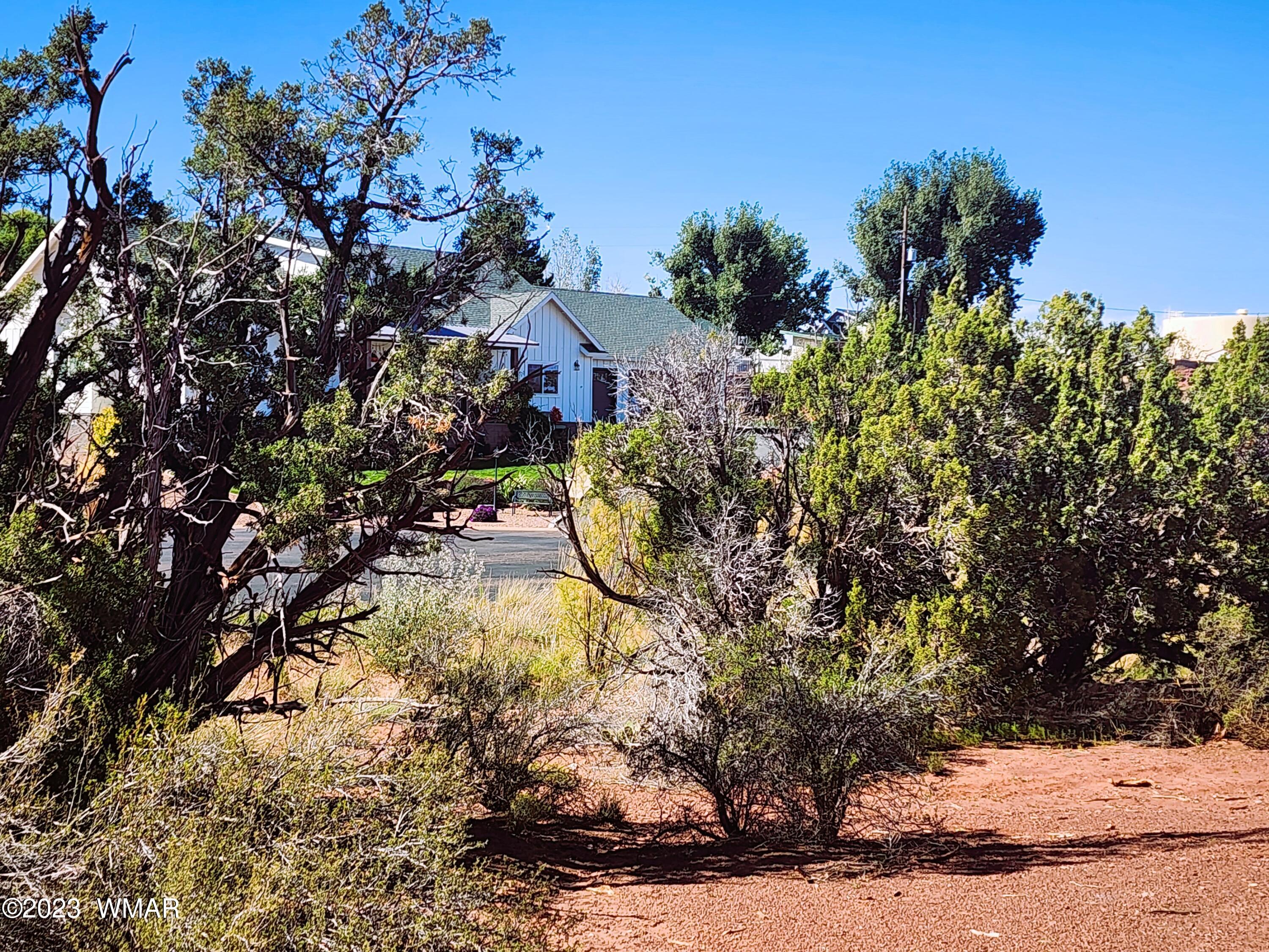 Tbd Tbd Snowflake, AZ 85937 - Photo 6 of 8