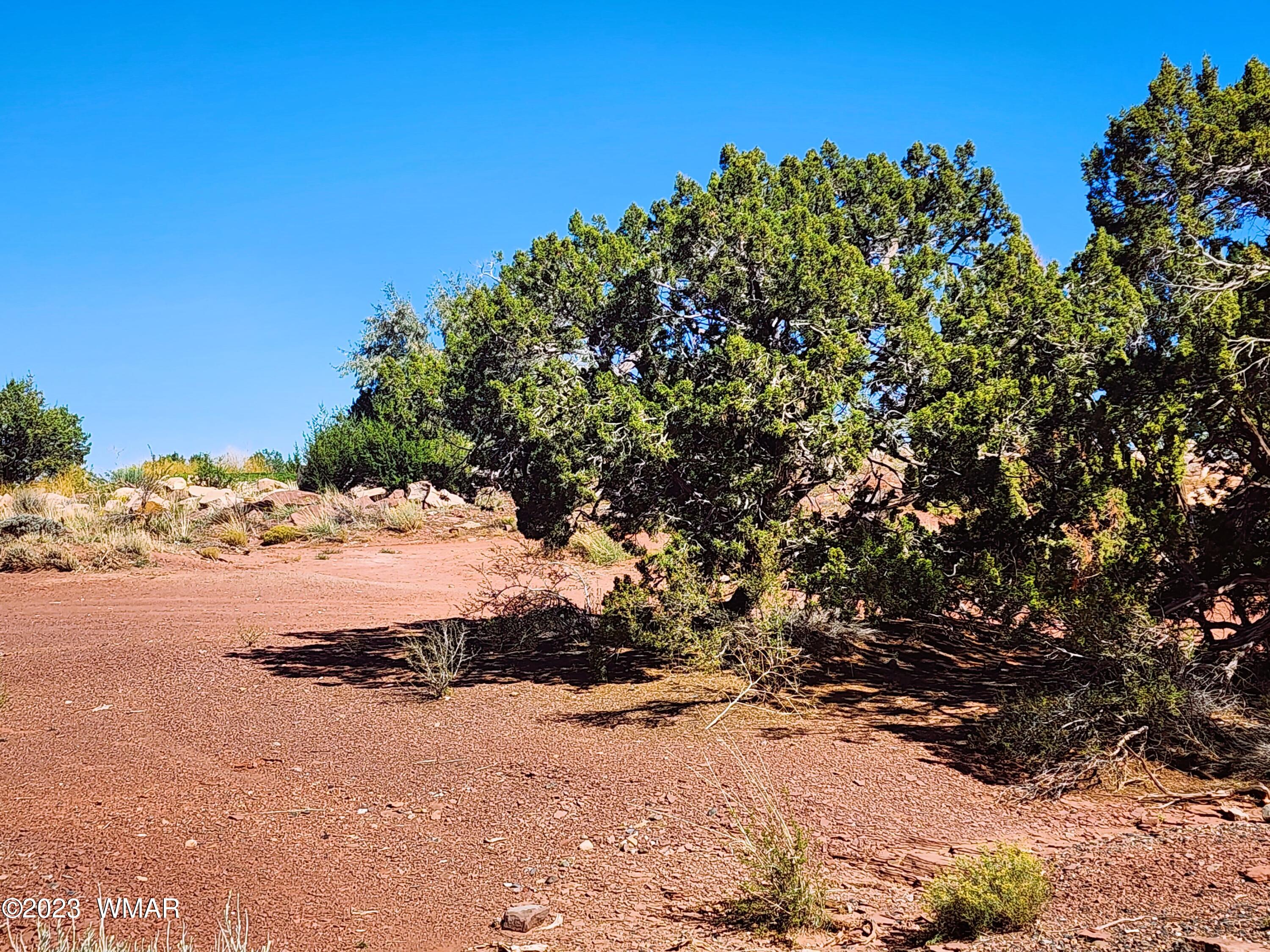Tbd Tbd Snowflake, AZ 85937 - Photo 7 of 8