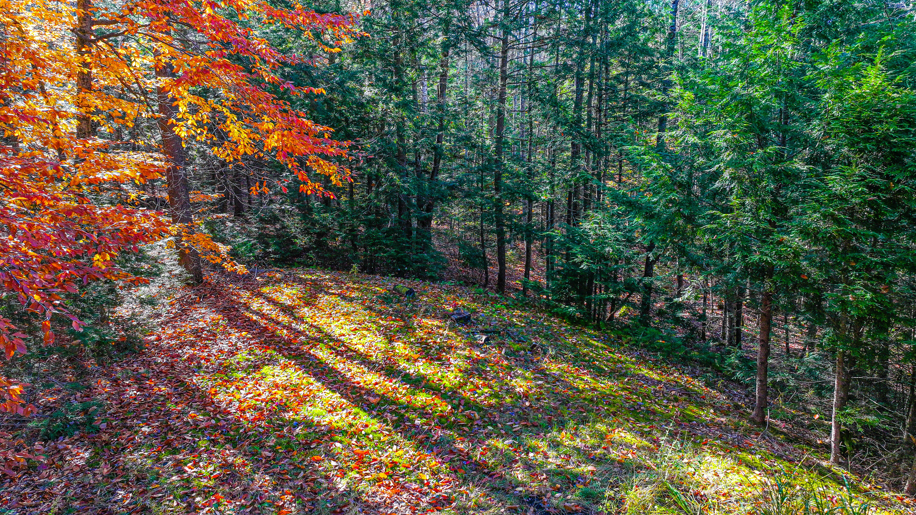 82 Pleasant Point Road Lovell, ME 04051 - Photo 25 of 36 82 pleasant point road-23