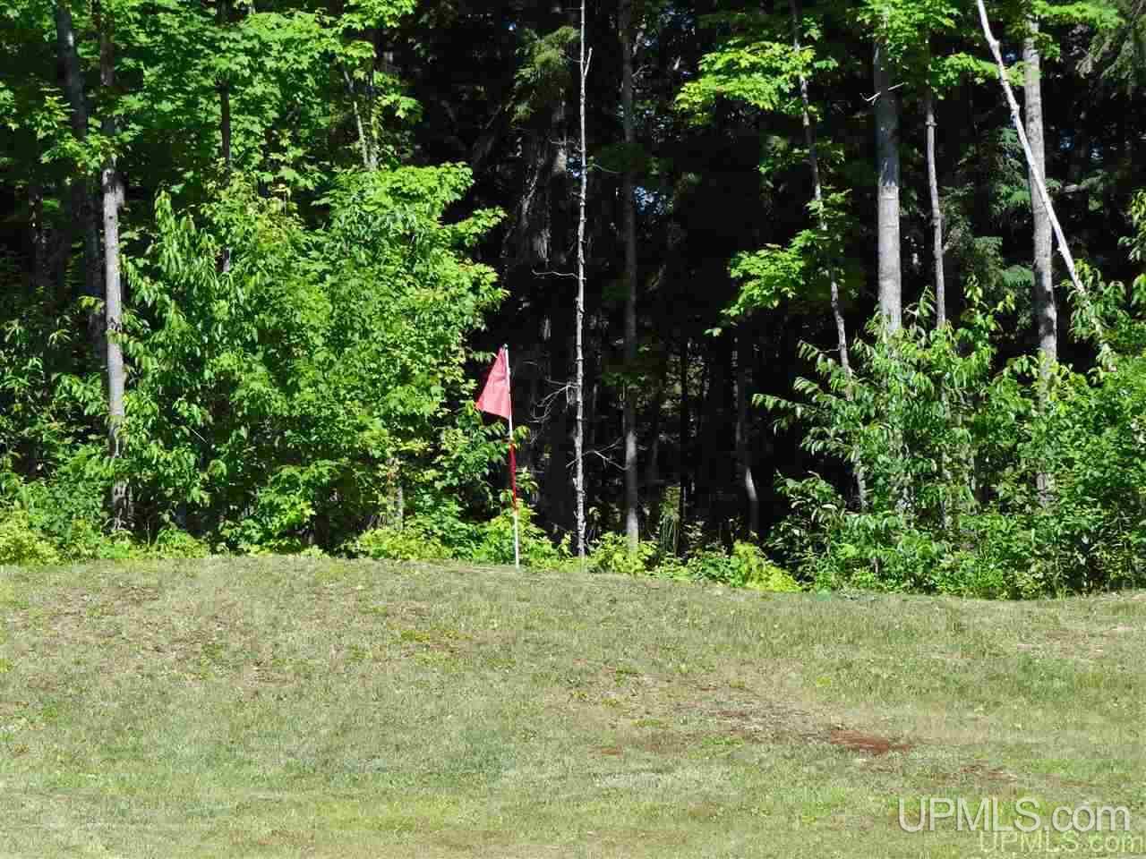 Tbd Light Blue Road, Unit LOT 177 Nisula, MI 49952 - Photo 29 of 37