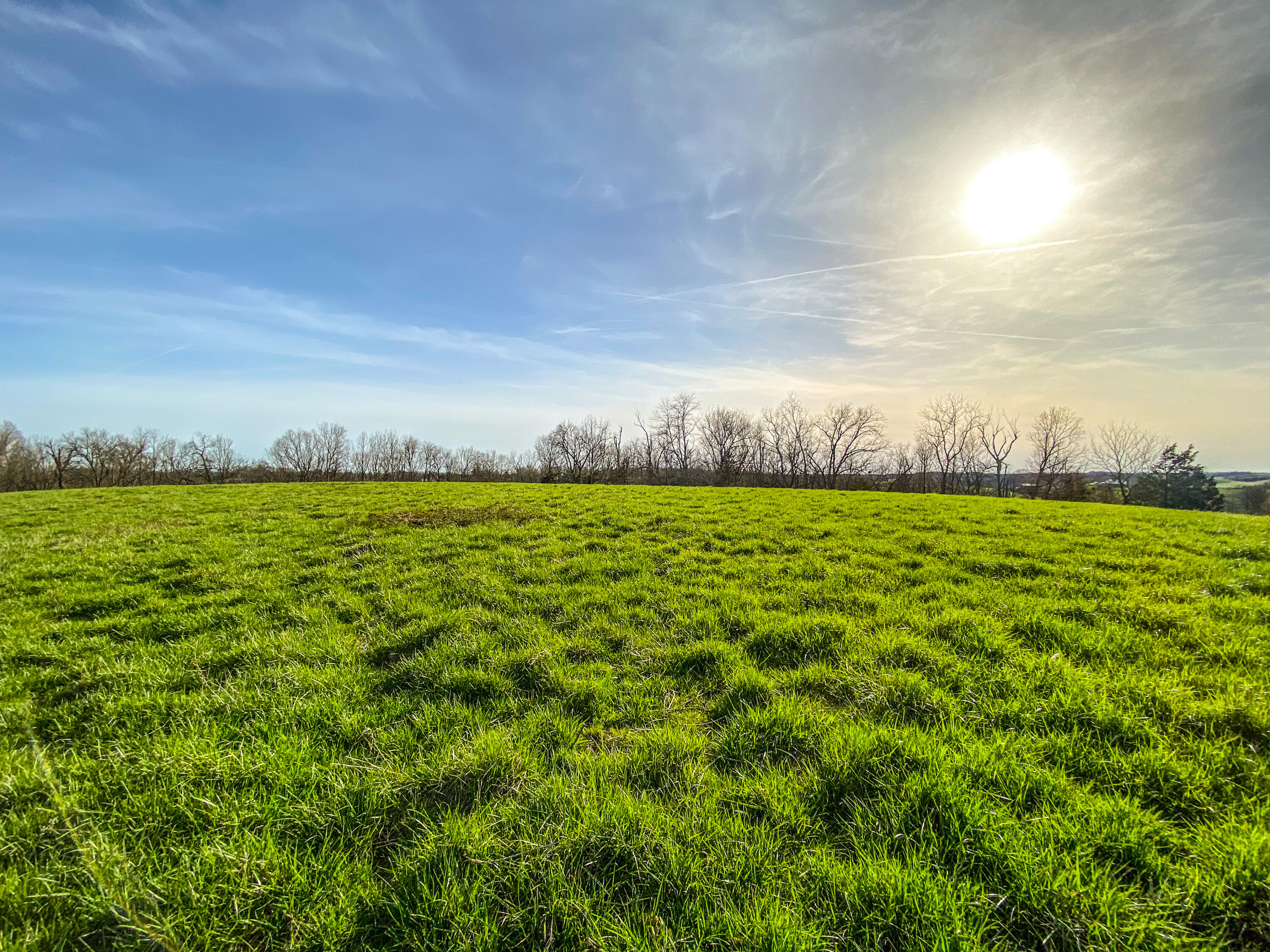 1366 Matthews Road Cynthiana, KY 41031 - Photo 13 of 20 Photo Apr 10, 6 03 21 PM