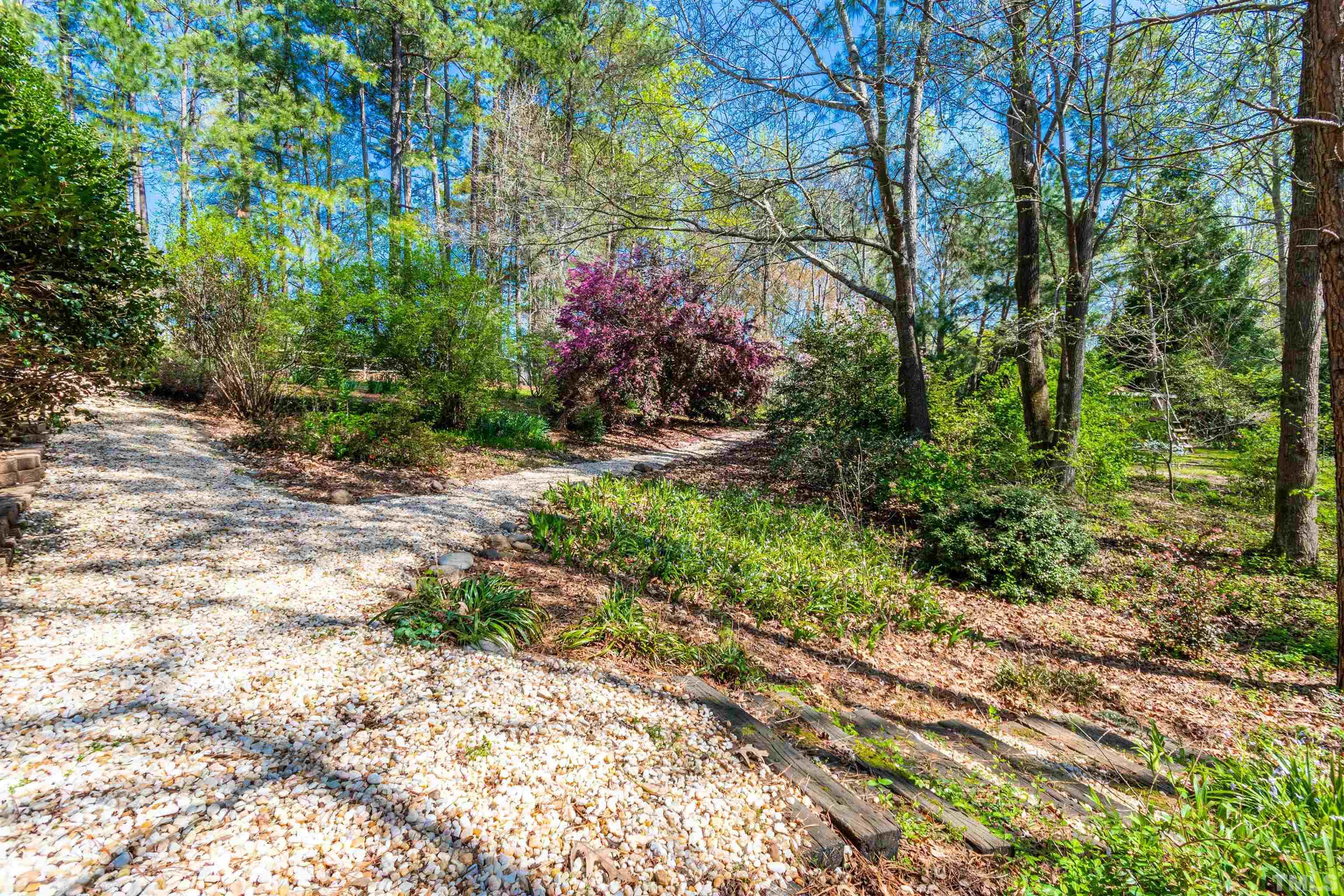 120 Kelsey Court Clayton, NC 27520 - Photo 42 of 62 a view of a yard with plants and large trees