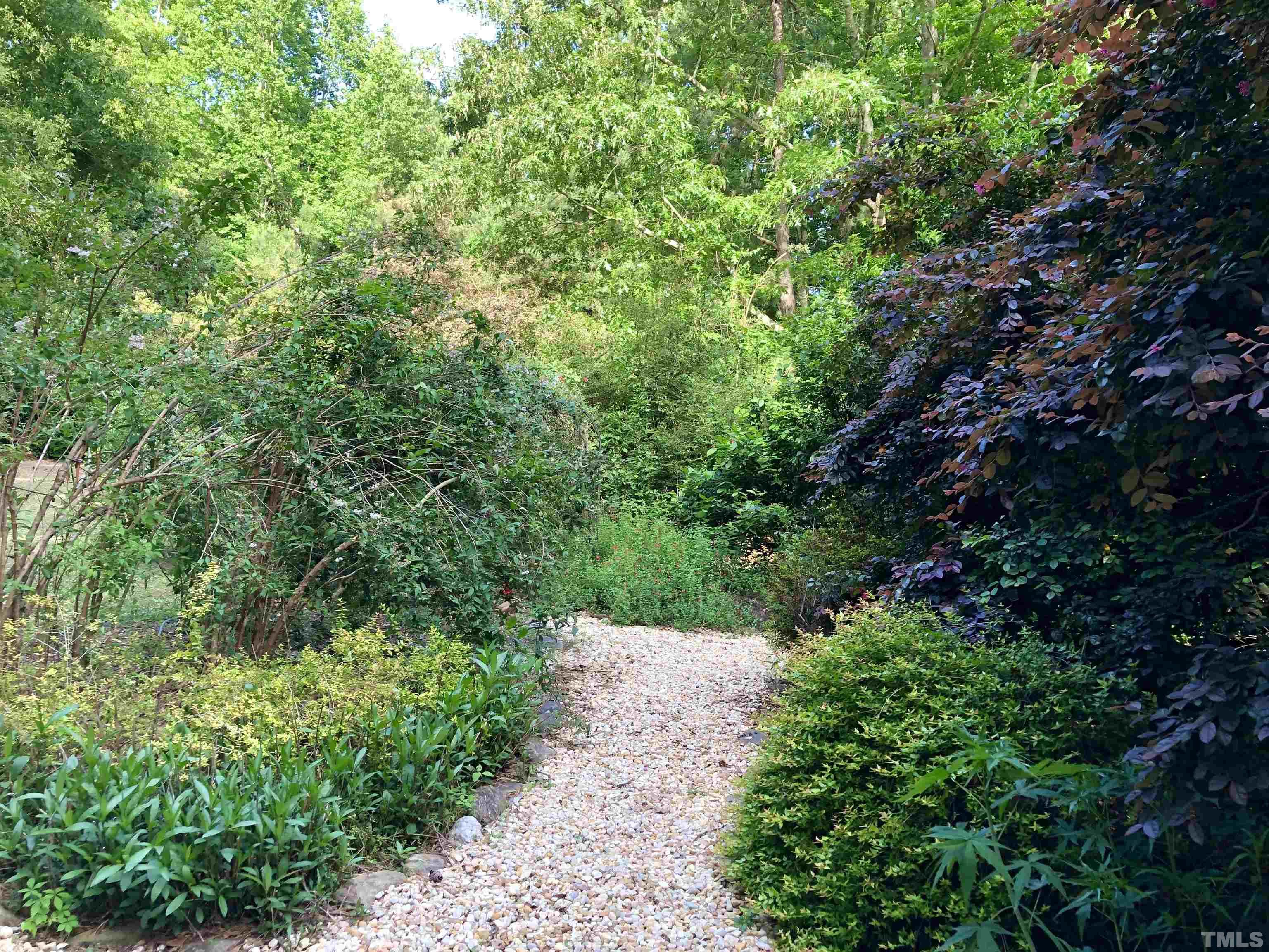 120 Kelsey Court Clayton, NC 27520 - Photo 44 of 62 a view of a garden with plants and large trees