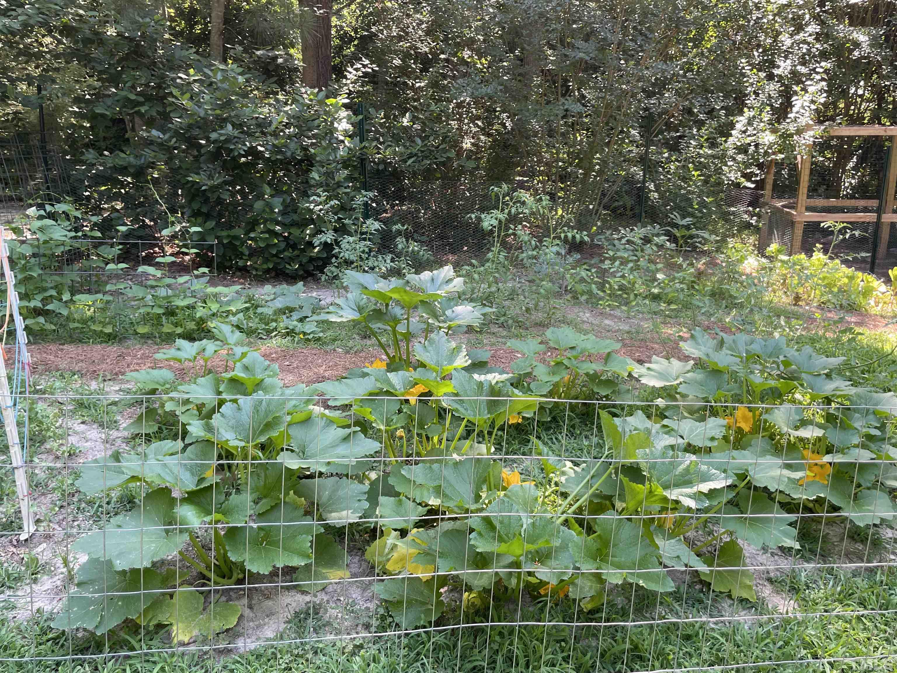 120 Kelsey Court Clayton, NC 27520 - Photo 47 of 62 a backyard of a house with lots of green space and garden