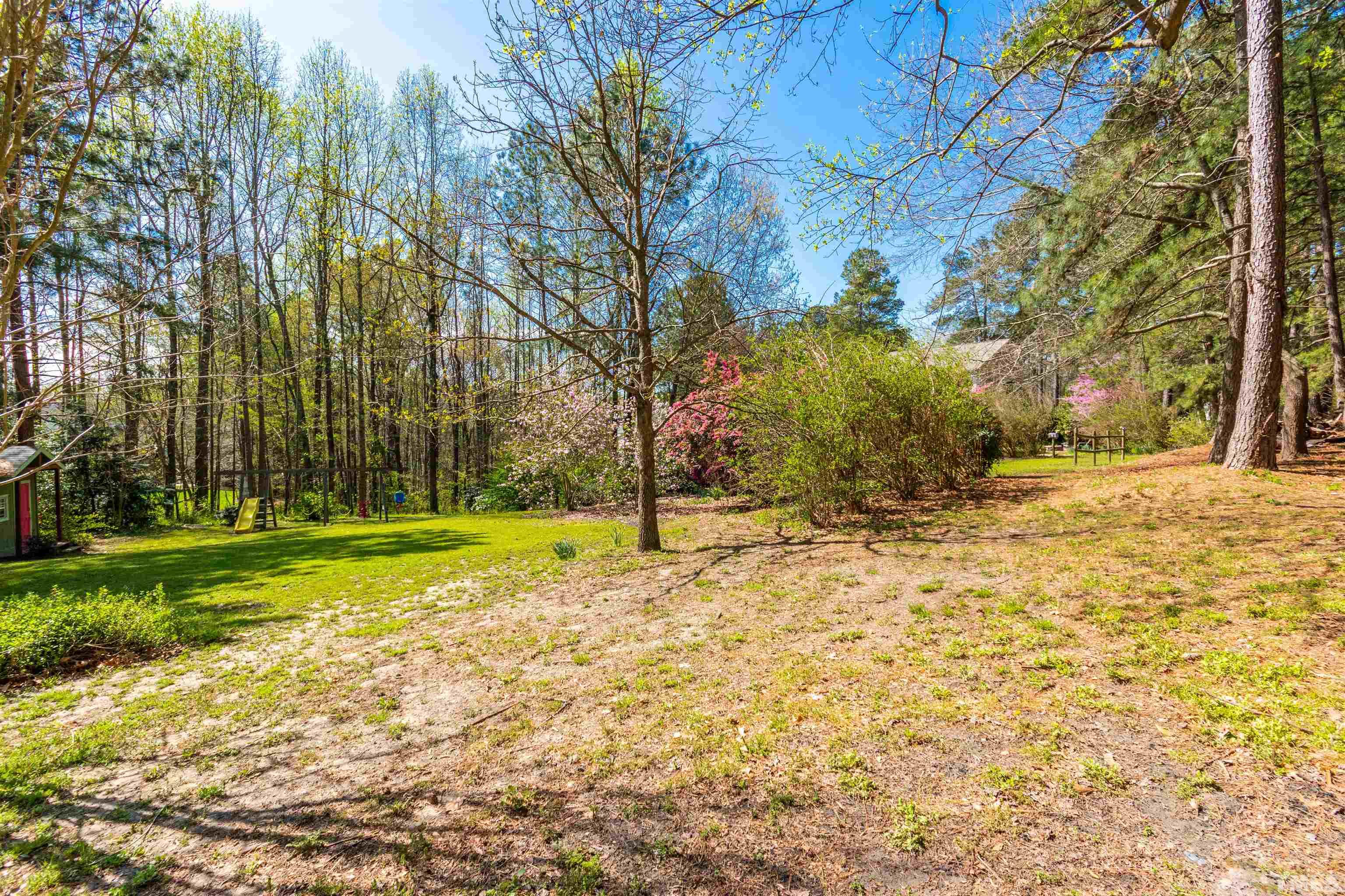 120 Kelsey Court Clayton, NC 27520 - Photo 50 of 62 a view of yard with tree