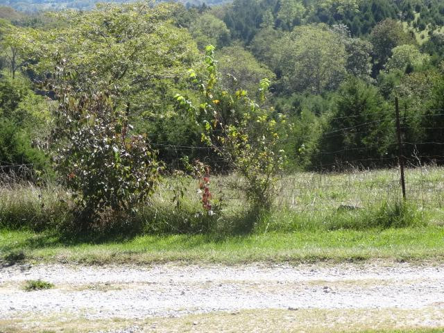 601 Walker Parke Road Richmond, KY 40475 - Photo 7 of 33 Photo 7