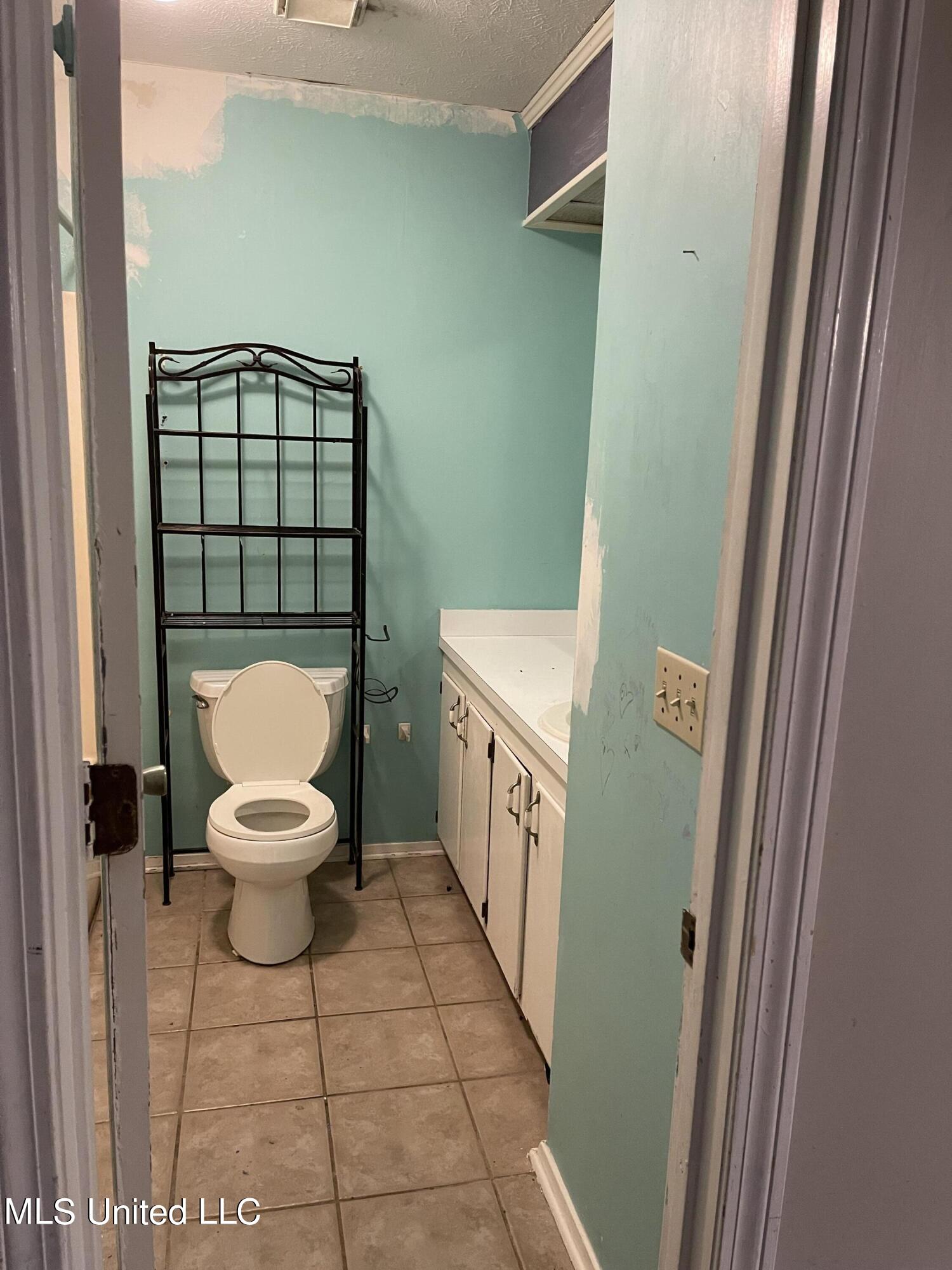 301 Lake Heather Road Brandon, MS 39047 - Photo 8 of 17 Guest Bath