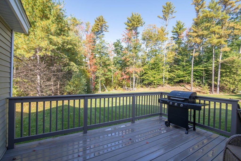 222 Villager Road, Unit 222 Chester, NH 03036 - Photo 36 of 41