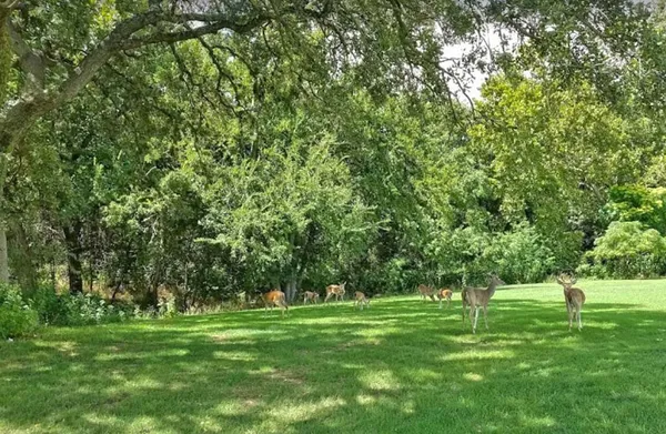 a view of a golf course with a lake