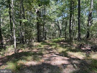 0 Palmer Road Gerrardstown, WV 25420 - Photo 11 of 41 a view of outdoor space and trees