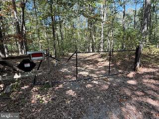 0 Palmer Road Gerrardstown, WV 25420 - Photo 13 of 41 a view of a forest with trees in the background