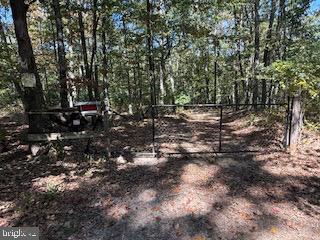 0 Palmer Road Gerrardstown, WV 25420 - Photo 16 of 41 a view of a forest with trees