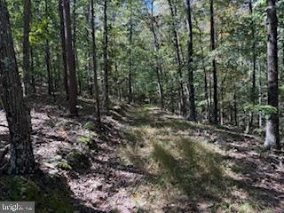 0 Palmer Road Gerrardstown, WV 25420 - Photo 2 of 41