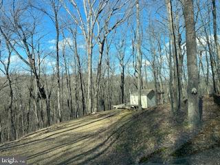 0 Palmer Road Gerrardstown, WV 25420 - Photo 26 of 41 a view of a pathway of a building