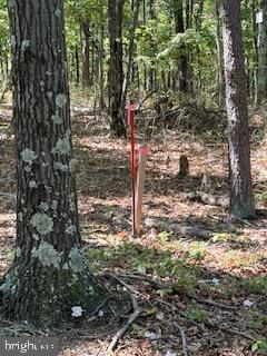 0 Palmer Road Gerrardstown, WV 25420 - Photo 27 of 41 a backyard of a house with lots of green space