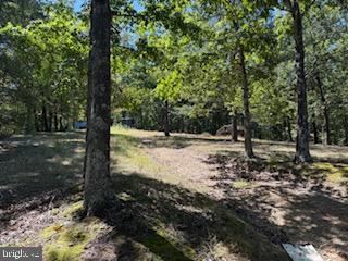 0 Palmer Road Gerrardstown, WV 25420 - Photo 3 of 41 a view of outdoor space with trees
