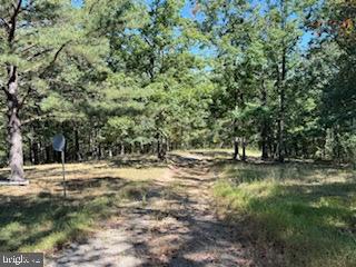 0 Palmer Road Gerrardstown, WV 25420 - Photo 31 of 41 a view of a yard with a tree