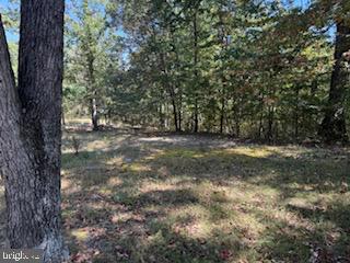 0 Palmer Road Gerrardstown, WV 25420 - Photo 32 of 41 a view of a yard with a tree
